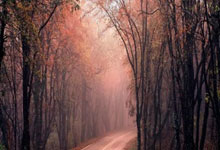 捷克运动员在射击比赛中夺冠：从默默无闻到世界之巅的逆袭