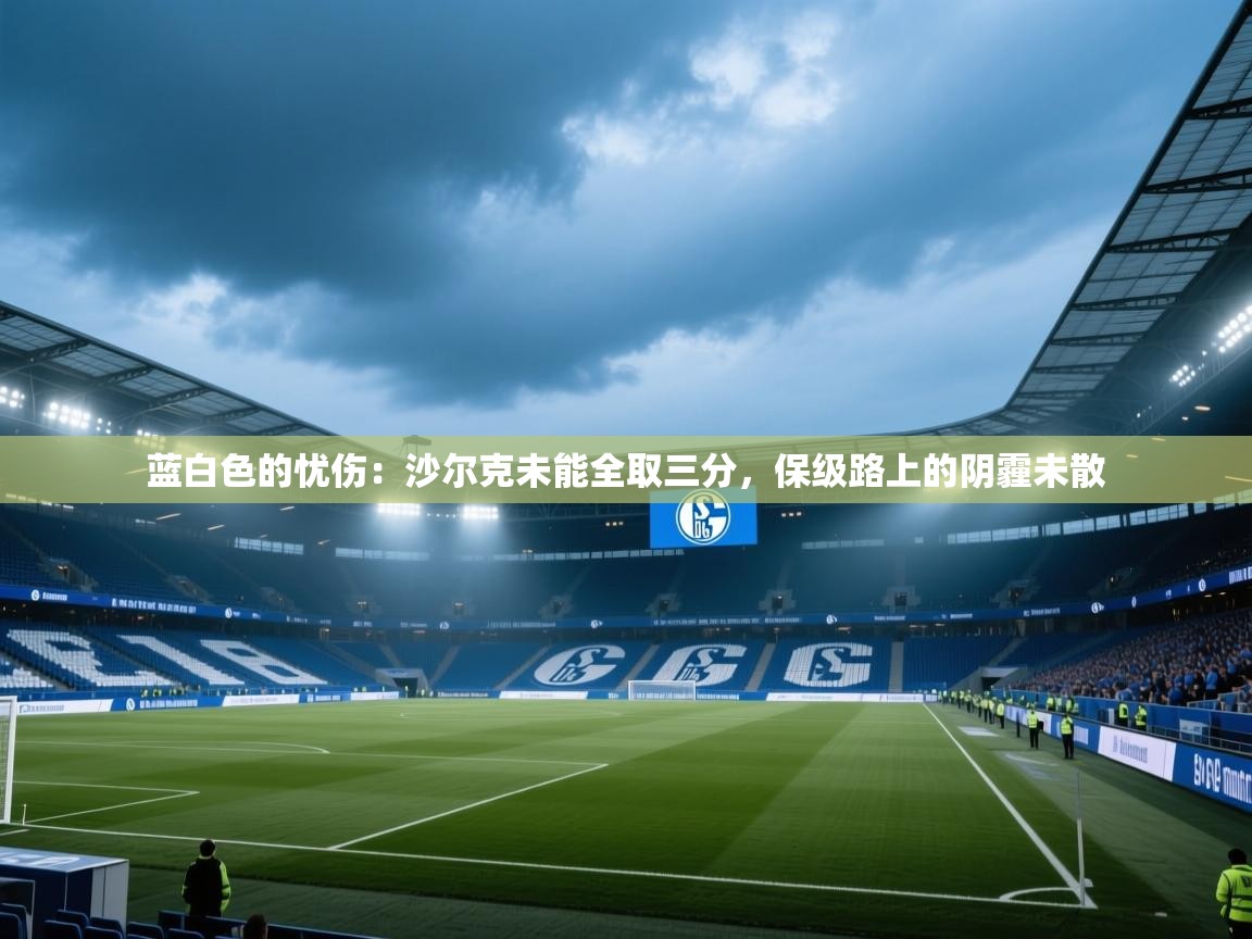 蓝白色的忧伤:沙尔克未能全取三分,保级路上的阴霾未散 第2张